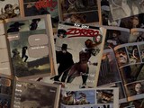 Shadow of the Zorro 