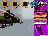 Winter Sports 
