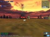 Conflict Zone