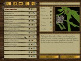 DemonWorld II Dark Armies 