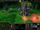 Warcraft III beta test