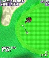Tiger Woods PGA Tour 2004 