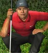 Tiger Woods PGA Tour 2004 shoty a info