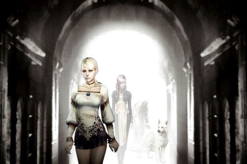 Haunting ground читы