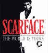 Scarface: The World is Yours obrzky