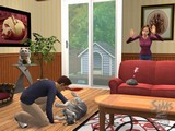 The Sims 2: Pets 