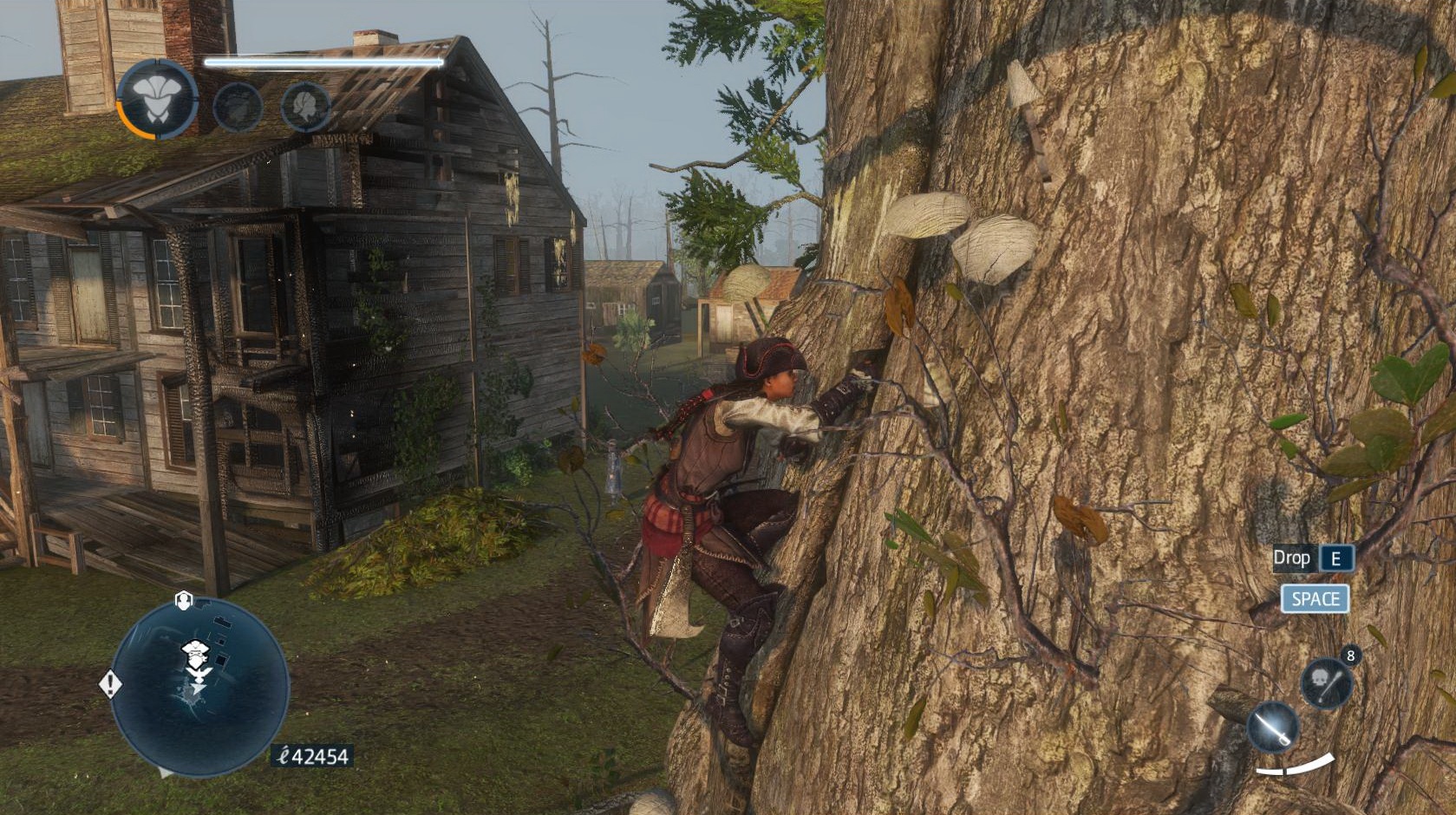 Assassins Creed: Liberation HD V osade paerkov sa na strom Aveline rozhodne netver preto, aby si nazbierala za hrs eren.