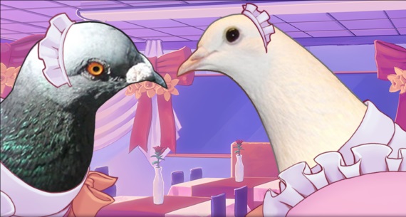 Первый Взгляд: Hatoful Boyfriend - Симулятор свиданий с …