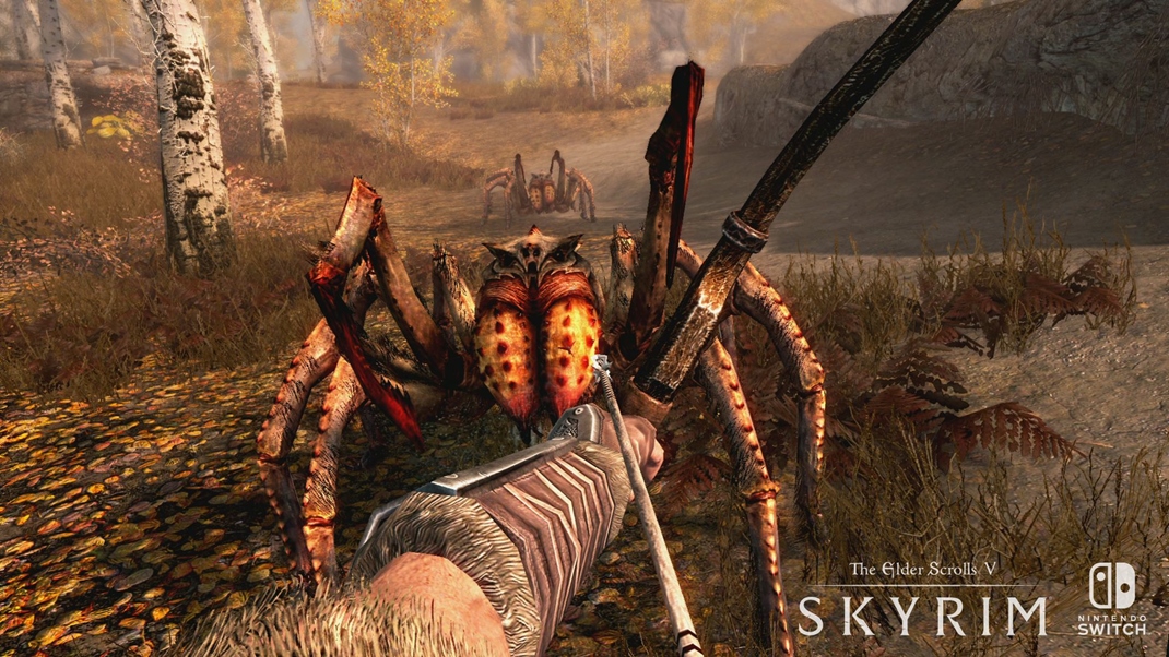 The Elder Scrolls V: Skyrim Pavúčiky nepríjemné, treba vás likvidovať na počkanie.