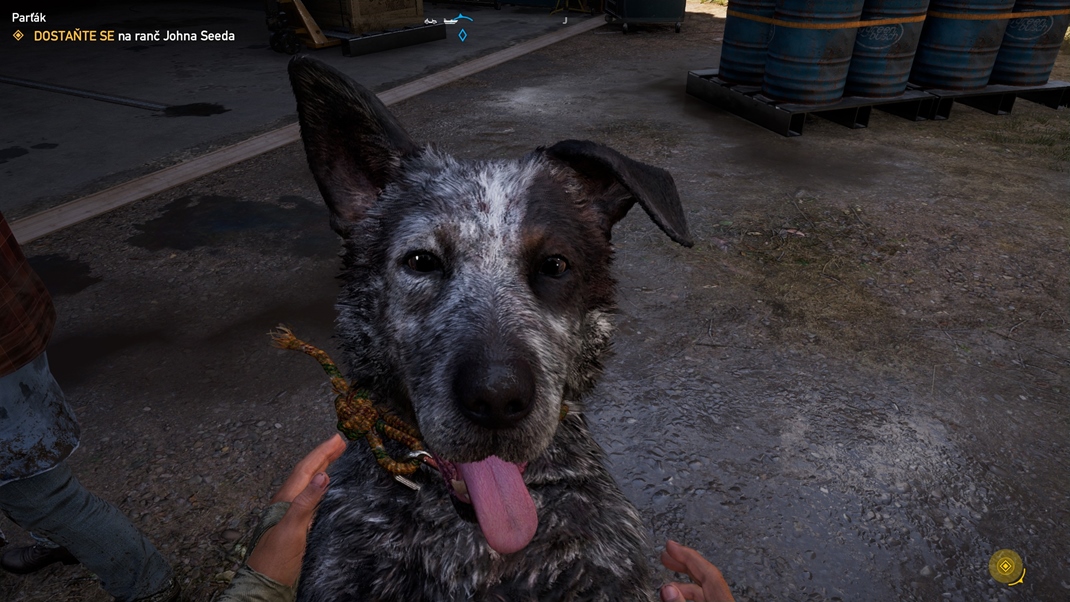 Far Cry 5 V hre budete najímať spolubojovníkov, a to napríklad aj psa. Môžete však hrať aj kooperačne s priateľom.