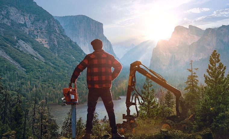 Lumberjack's Dynasty