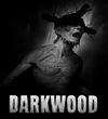 Survival horor Darkwood sa na Switchi dok limitky