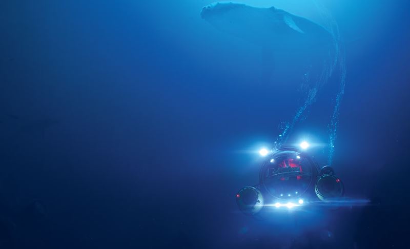 Under The Waves