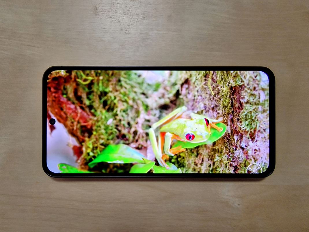 Samsung Galaxy S24 FE 