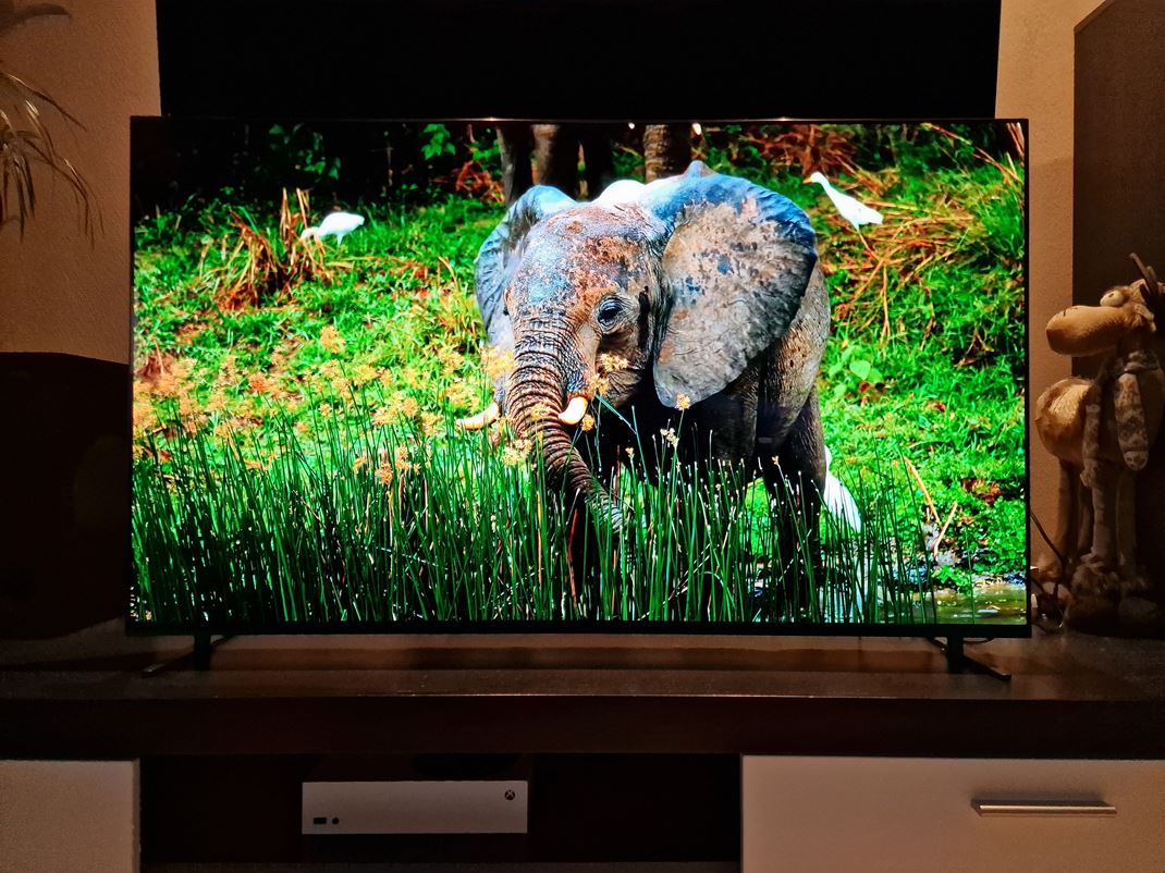 Bravia 8 OLED TV