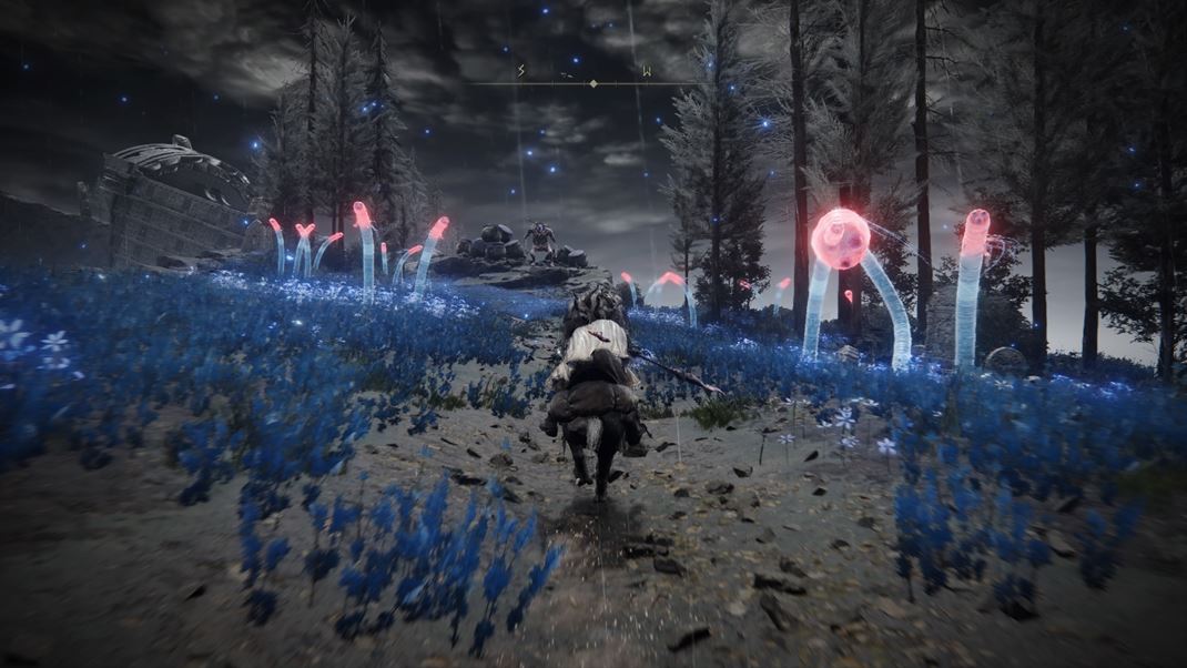 Elden Ring: Shadow of the Erdtree 