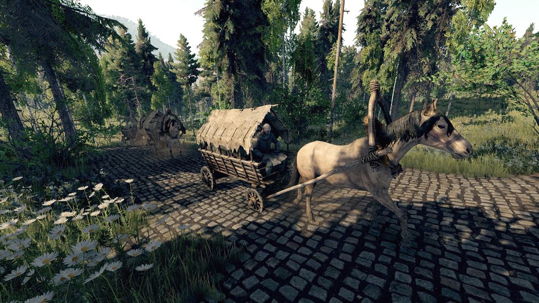 Life is Feudal: MMO 