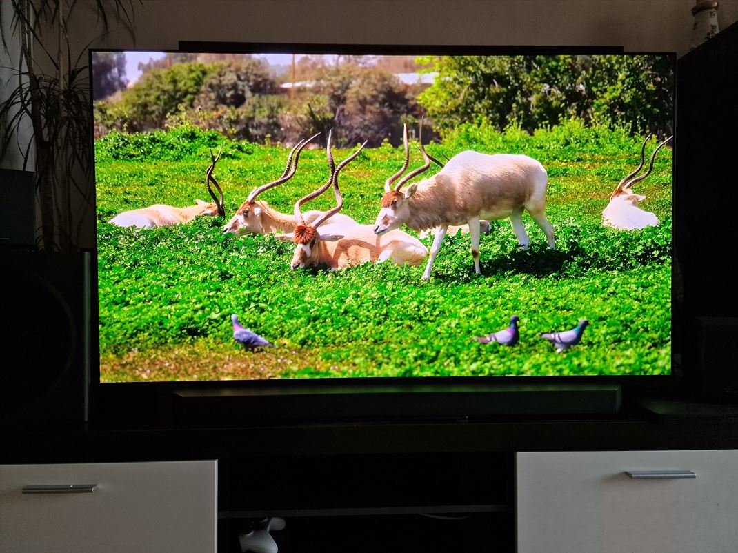 Samsung QD-OLED TV 65'' S95D