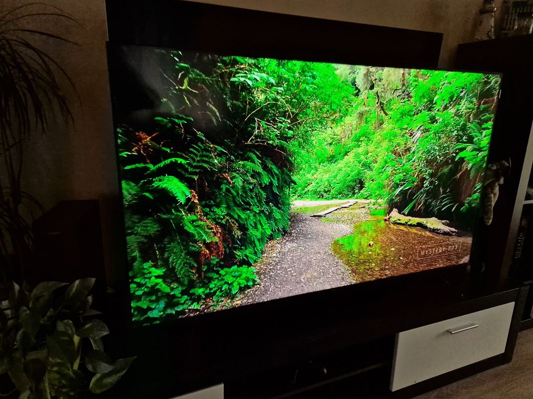 TCL 65T8B - hern TV za dobr cenu Farebnos je vemi pekn.