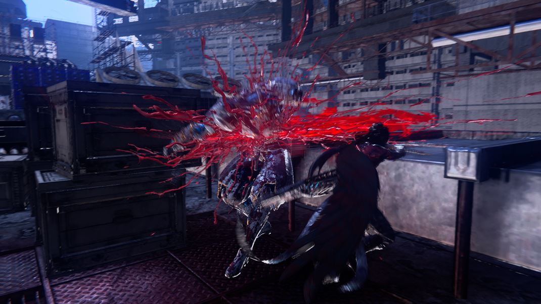 Ninja Gaiden 4