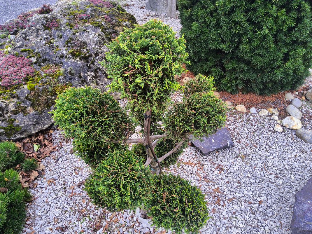 Samsung Galaxy Tab S11  