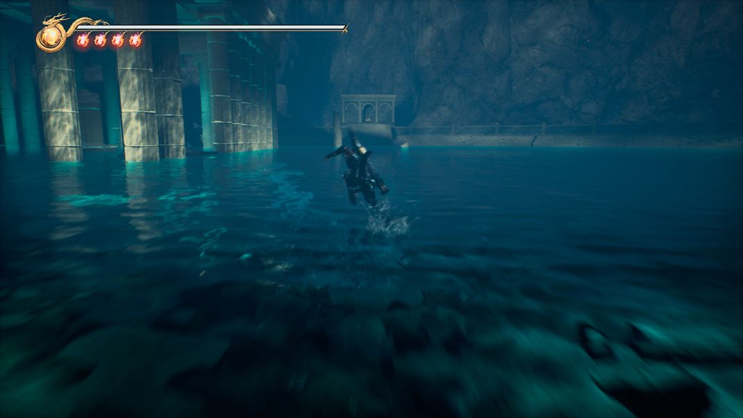 Ninja Gaiden 2 Black