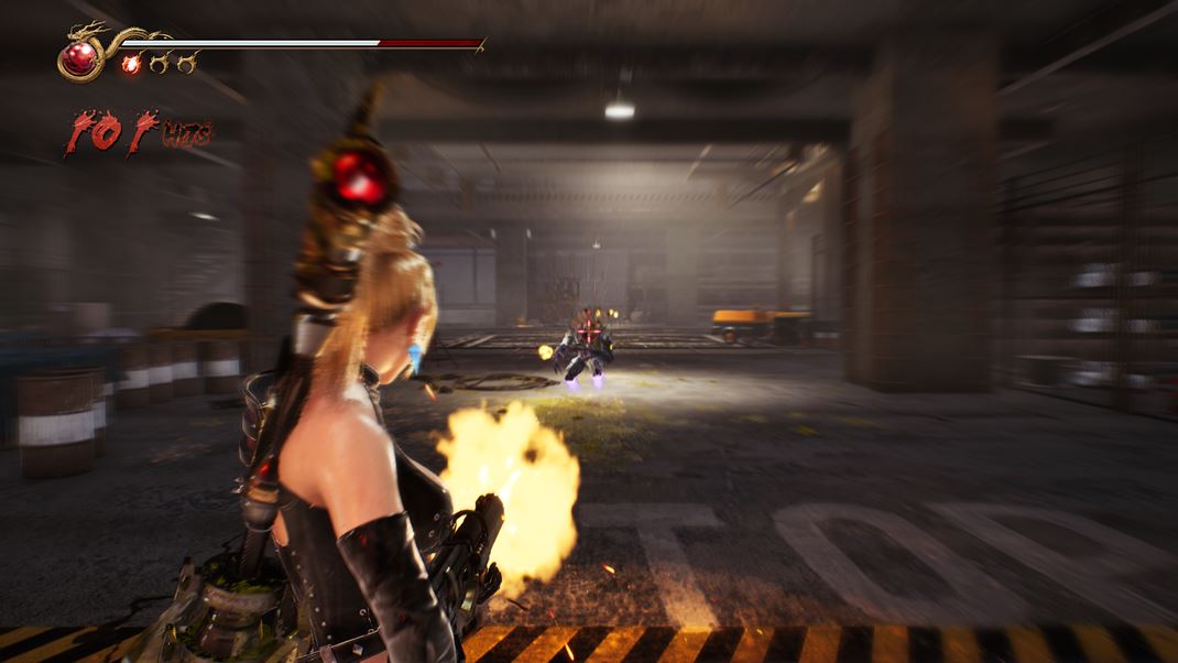 Ninja Gaiden 2 Black