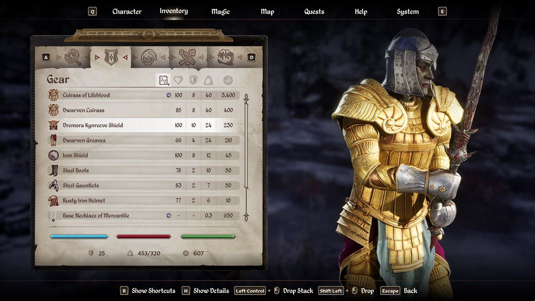 The Elder Scrolls IV: Oblivion Remastered Inventr ahko preplnte bohatou korisou, ktor navye vea vi.
