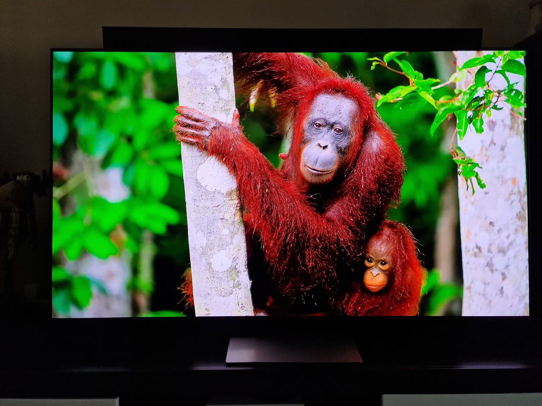 Samsung S90F OLED TV Obraz je psobiv.