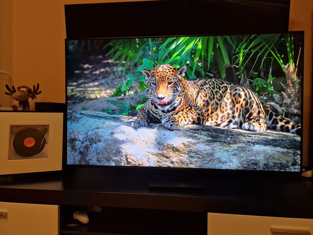 Samsung 55'' QN70 - Neo QLED TV