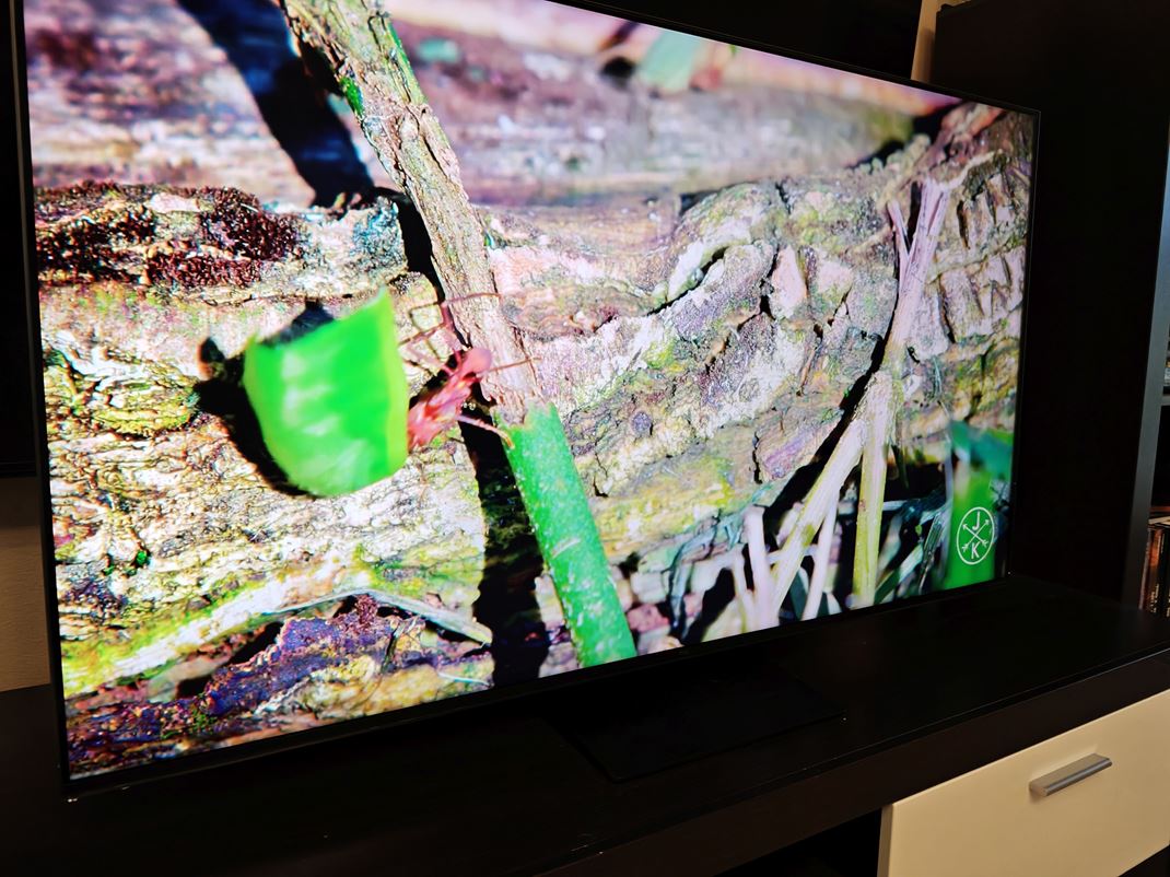 TCL 55'' C7K - Mini LED TV 