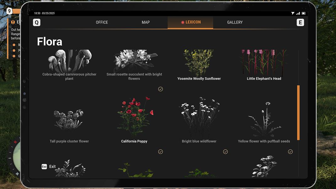 Ranger�s Path: National Park Simulator 