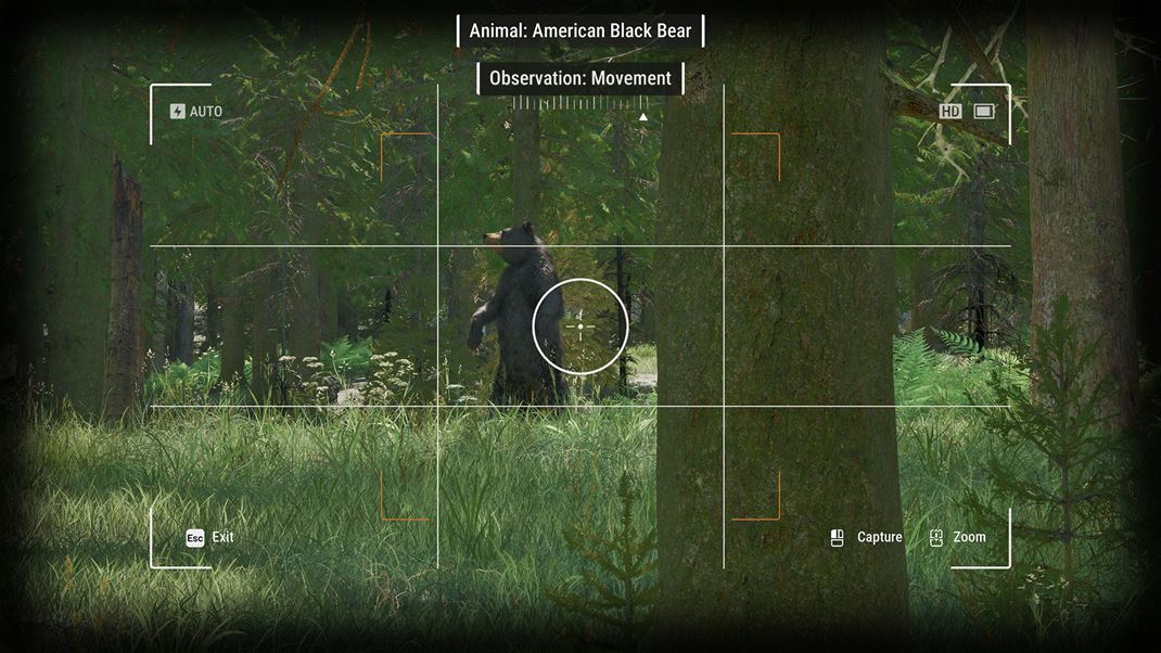 Ranger�s Path: National Park Simulator 