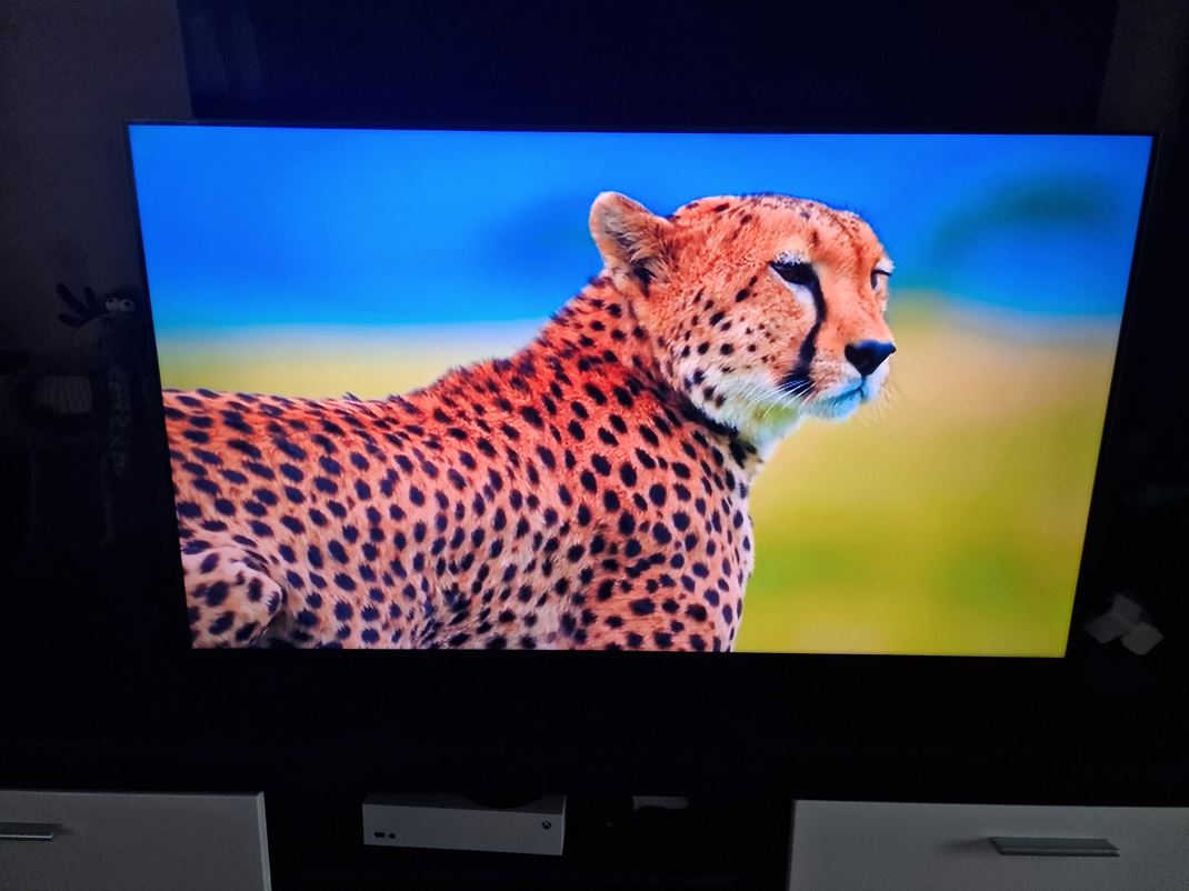 TCL C7L - SQD-Mini LED TV