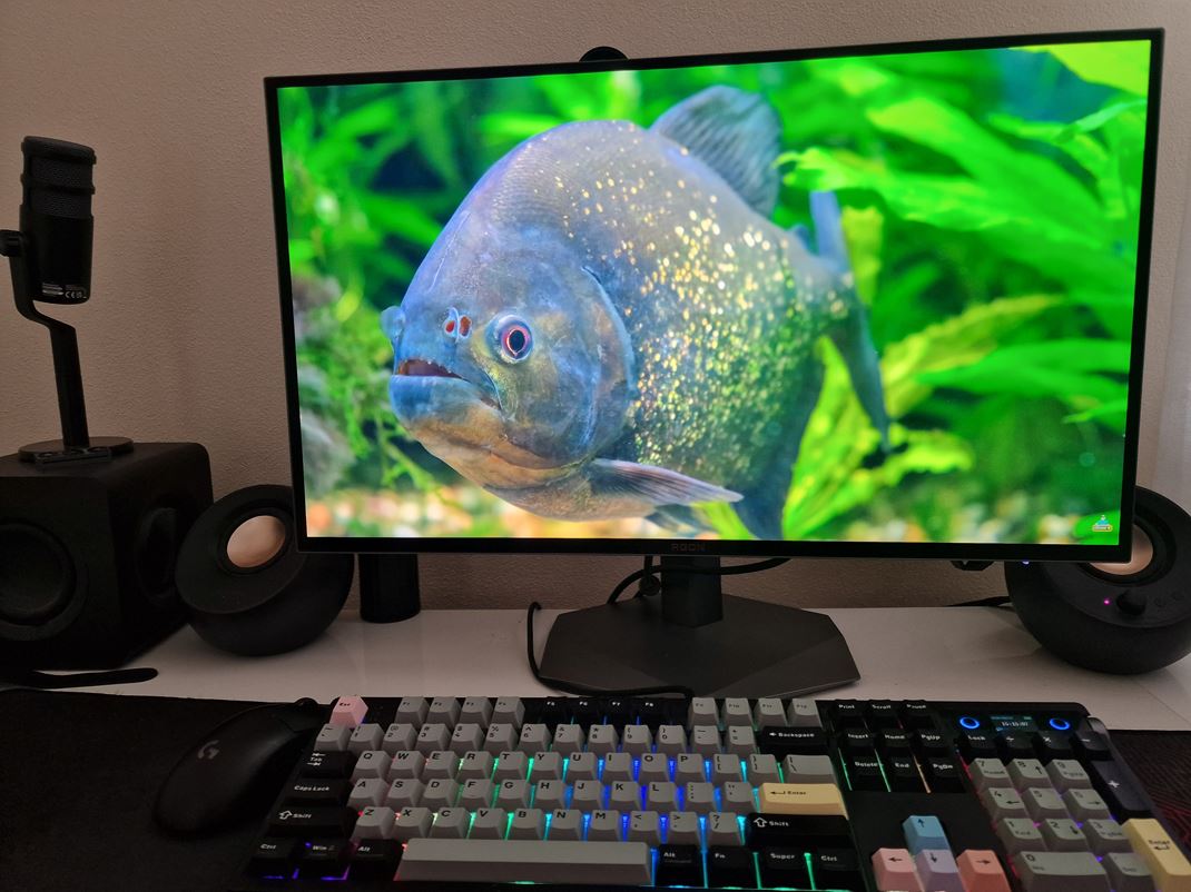 AOC Agon 277QKDC - 540Hz OLED monitor