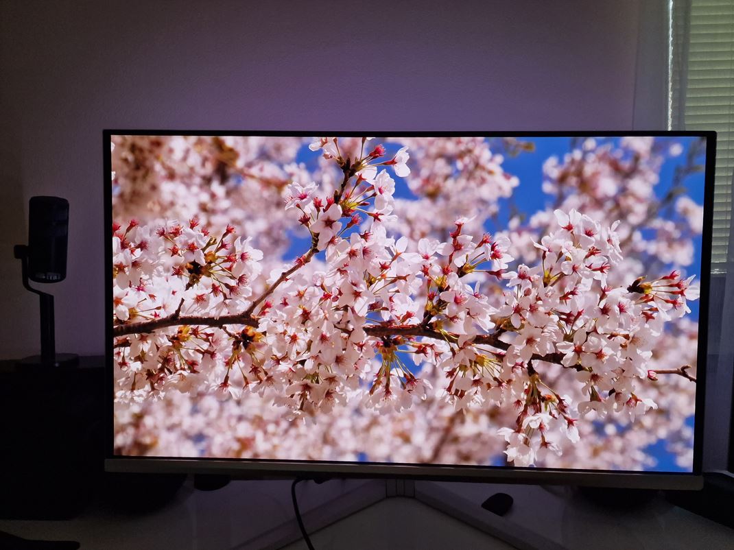 Philips 32M2N6901A - 4K OLED monitor 